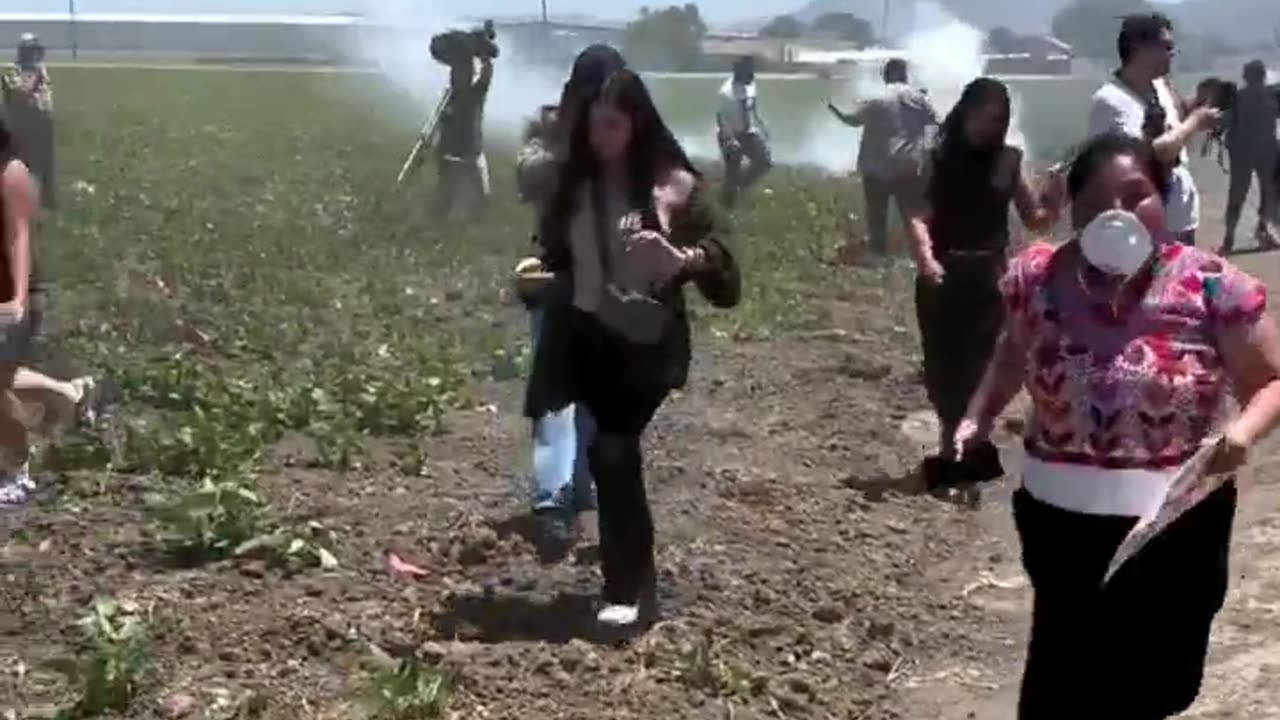 Morbidly obese Mexicans waddling from ICE