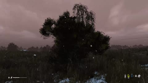 DayZ Northbound Chernarus S4 Day 11: BMW Tire HUNT FAILS HARD! New Beamer SECURED LIVE Drama