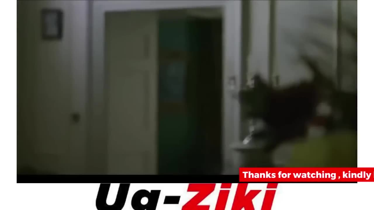 VJ JUNIOR TRANSLATED MOVIES 2025