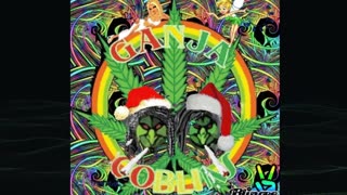 Ganja News Update Tonight