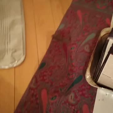 Tim Rifat TikTok Videos