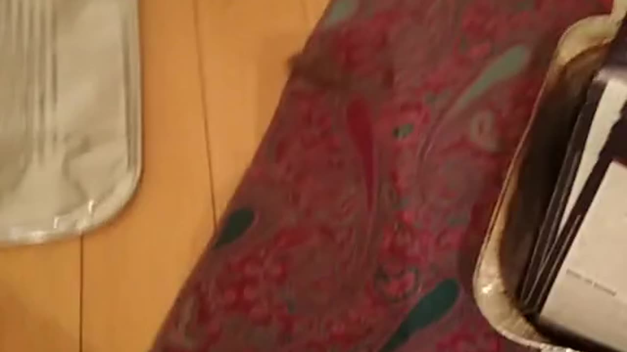 Tim Rifat TikTok Videos