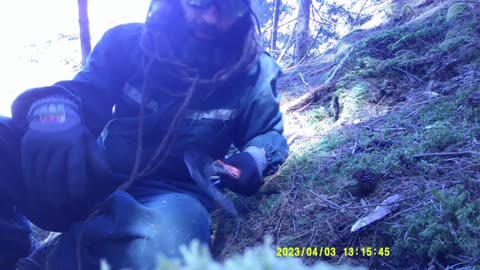 ANCORA MOLTISSIMA LEGNA DAL BOSCO (3 APRILE) [I° PARTE]