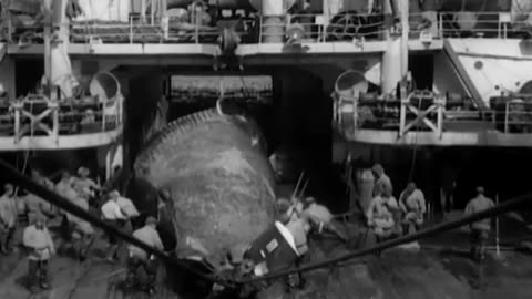 JAPANESE WHALING EXPEDITION IN ANTARCTIC - JAPANESE WHALING EXPEDITION IN ANTARCTIC - 111-adc-7146