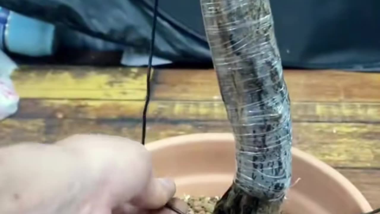 💡✨ A Clever Hack You'll Wish You Knew Sooner | LifeHacksDaily