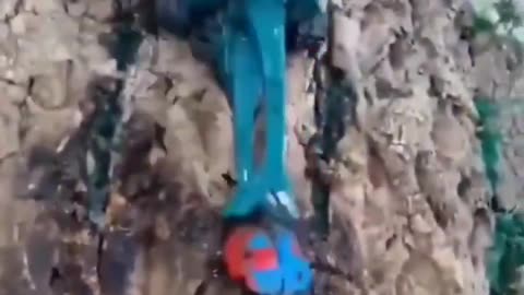 Beetle Battle Power