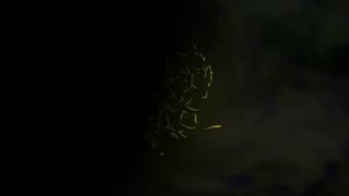 INFOWARS LIVE - 1/28/26: The American Journal with Breanna Morello / The Alex Jones Show / The War Room With Harrison Smith