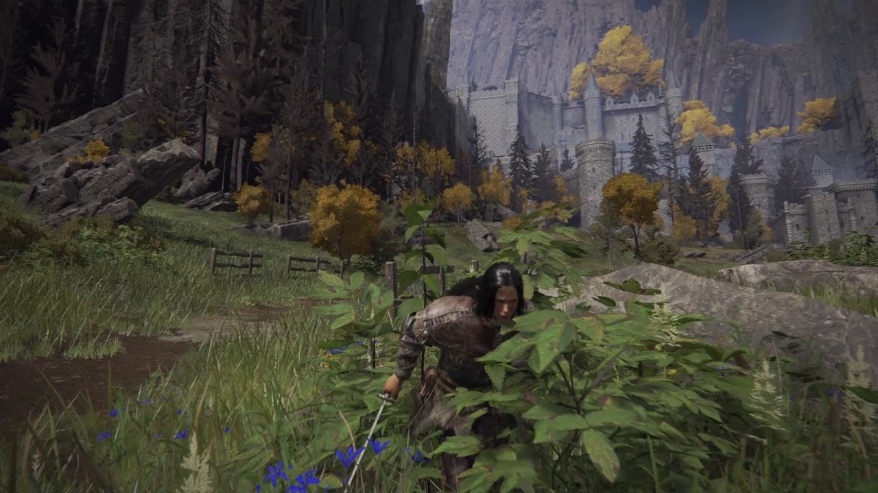 Elden Ring Caria Castle Run