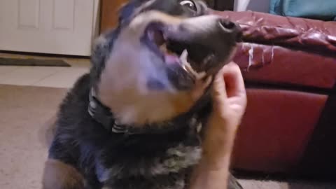 Head Rubs