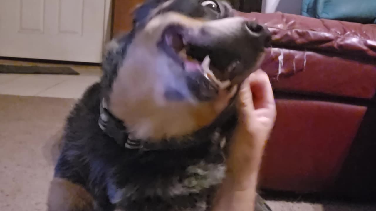 Head Rubs
