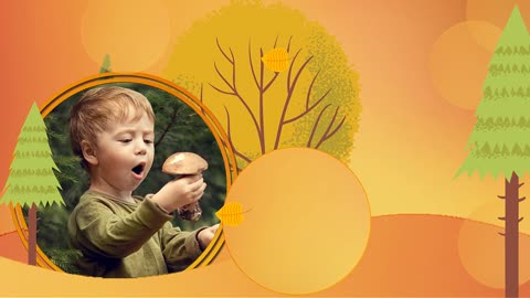 Mushroom hunting - Project for Proshow Producer