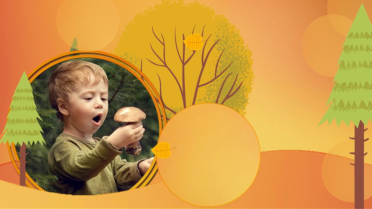 Mushroom hunting - Project for Proshow Producer