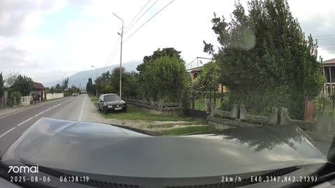 Dashcam Captures Collision With a Horse