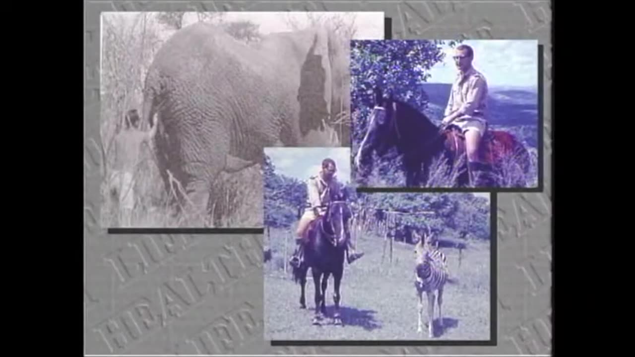 Dead Doctors Dont Lie - LOST VIDEO VERSION - Dr- Joel Wallach old lecture