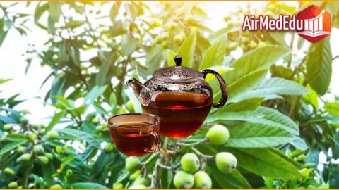 45 Benefits of Loquat Leaf Tea
