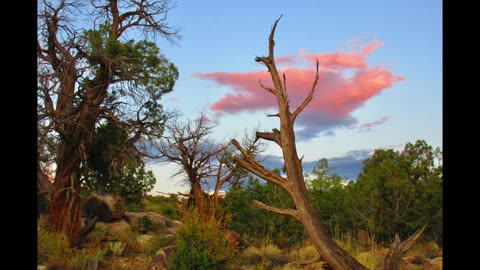 #17: “The Old Rugged Cross” (with lyrics) | MODERN MELODIES to METHODIST HYMNAL LYRICS