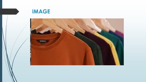 Best Window Graphics in Middle Green