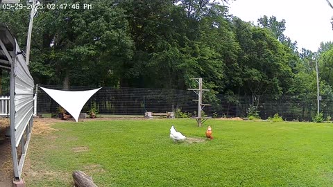 When Is The Best Time For A Snack?