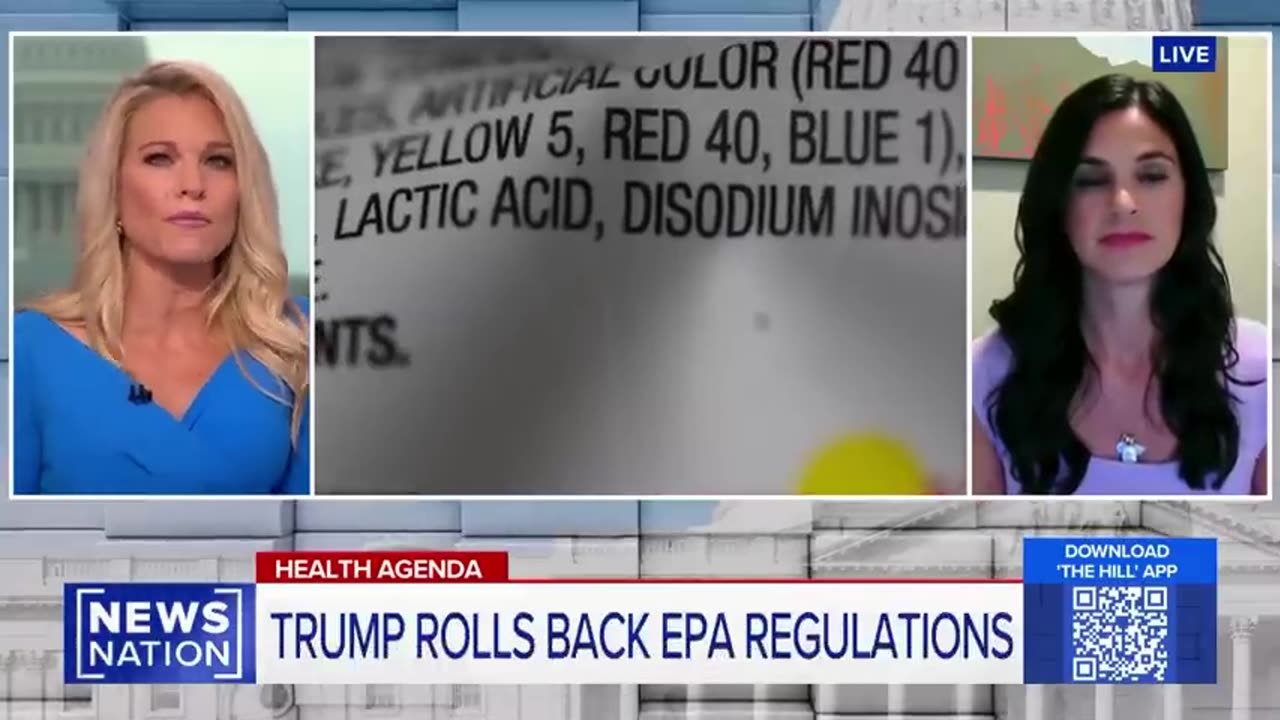 The Hill on NewsNation - Judge Sides With Harvard Against Trumps Student Visa Block | NewsNation