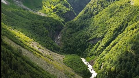 Daily Horoscope | Capricorn 🌟