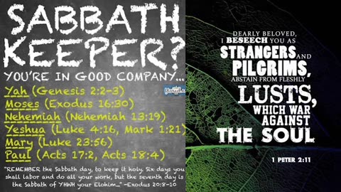 Jasher 1; את Cepher Scripture Reading (Day 241) Bible on Audio; 16 to NW