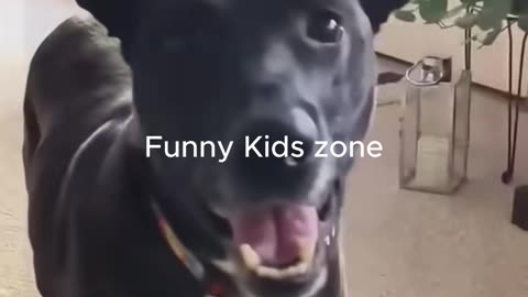 🐾😂 You Won't Believe These Hilarious Funny Animals! part-1