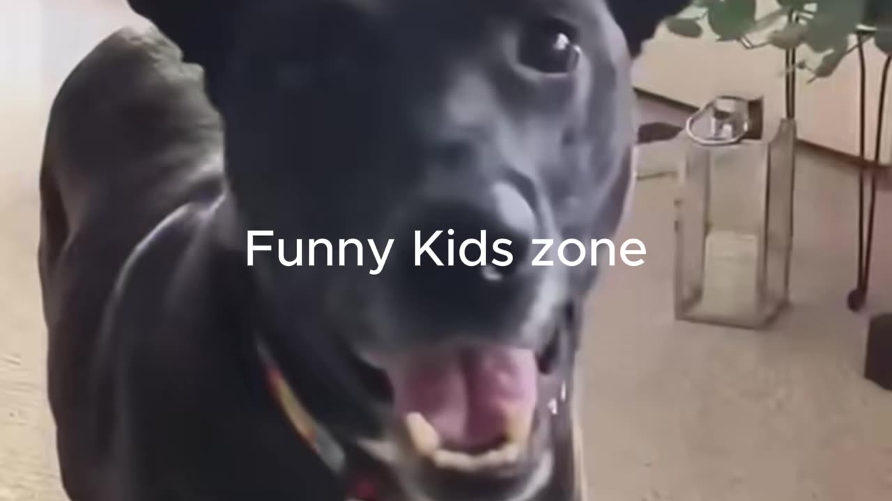 🐾😂 You Won't Believe These Hilarious Funny Animals! part-1