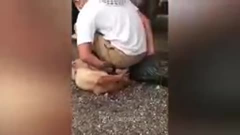 Funniest Animal 😂🥰