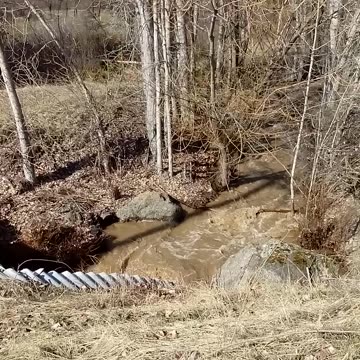 McDougall Creek In West Kelowna BC 🇨🇦 March 29 2025