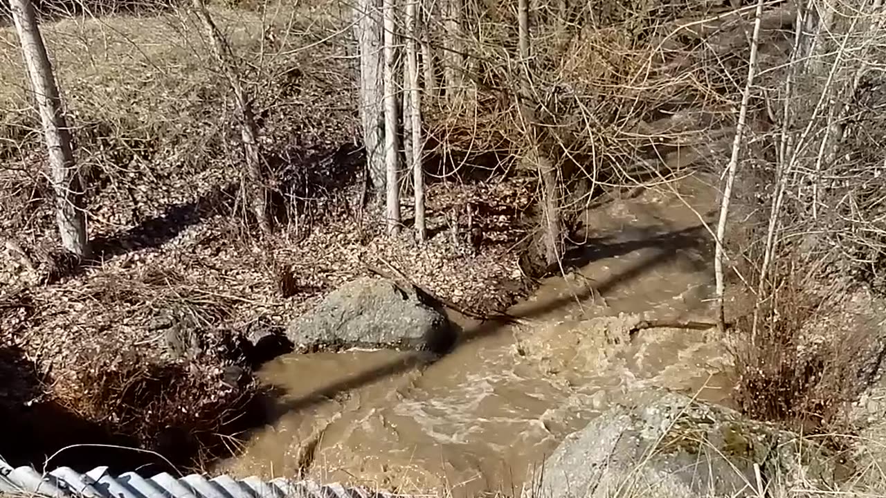 McDougall Creek In West Kelowna BC 🇨🇦 March 29 2025