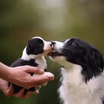 She’s so proud.. ❤️