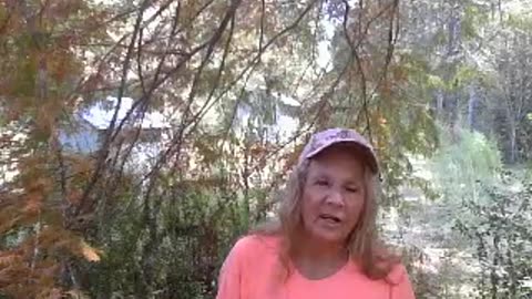 🐊The Deep State🐍 Covid🦠 Depopulation Plan🏹 for 2020!!🌍