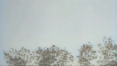 American 94th Aero Squadron pilots in France preparing for dogfights 1918