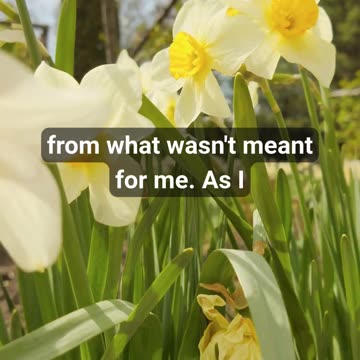 How Gratitude Changed My Week🙏 Starting the Week with Gratitude: A Prayer for Guidance & Peace ✨