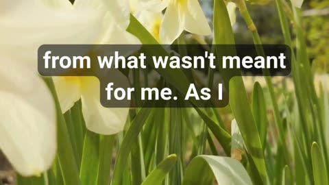 How Gratitude Changed My Week🙏 Starting the Week with Gratitude: A Prayer for Guidance & Peace ✨