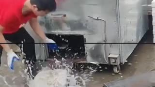 Ideas fox part 64