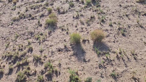So, you want to live off-grid in the New Mexico desert?