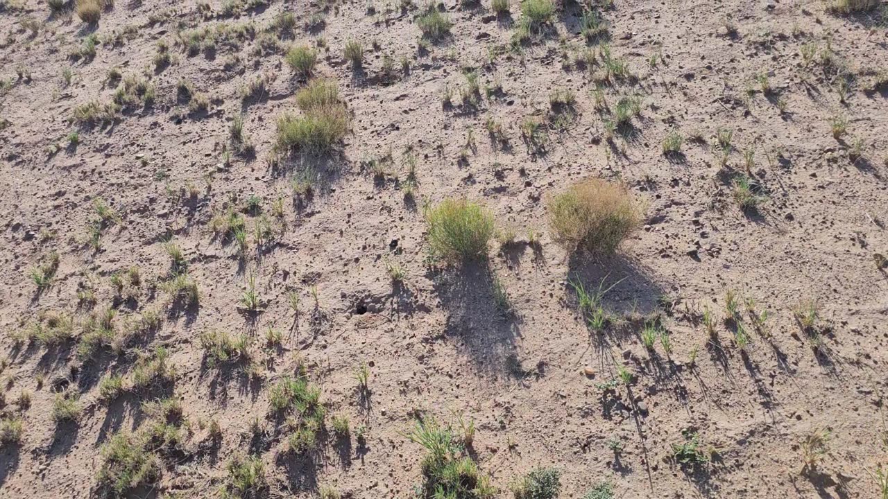 So, you want to live off-grid in the New Mexico desert?