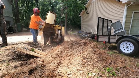 This Tree and Stump Grinding Job could've gone Wrong