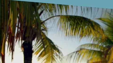 Bald Head Island Vacation Rentals: Relax in Peaceful Settings