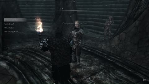 Skyrim MilSim gameplay
