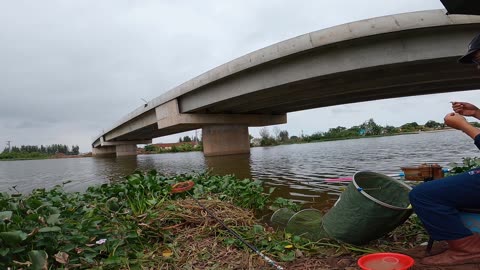 Geheimnisse des Flusses Fische fangen wie ein Profi