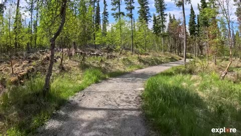 What Is The Brooks Falls Trail Like
