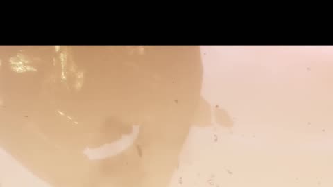 That took him out! | Clair Obscur: Expedition 33 | gameplay | episode 15