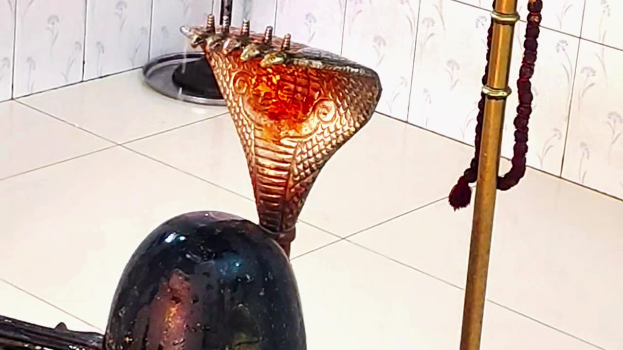 Shravan mas |🌹🔱 | Day 02 📿 | #viral #shravan #shorts #trending