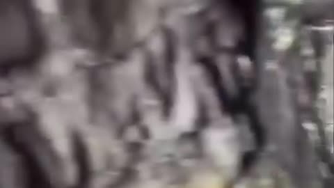 They Found The Entrance to The Garden Of Eden