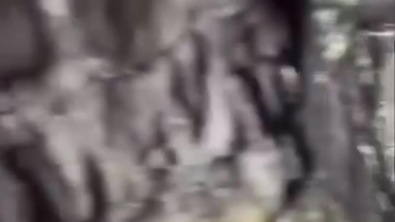 They Found The Entrance to The Garden Of Eden