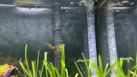 Tank Update
