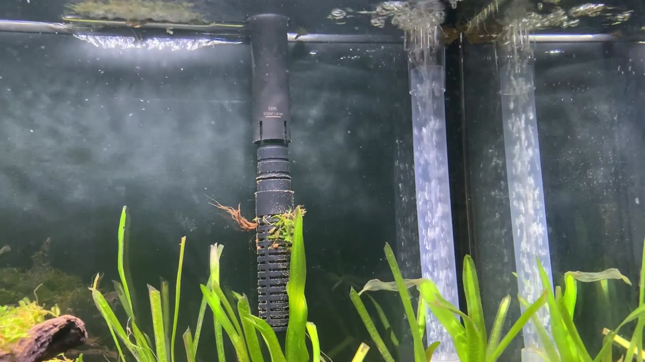 Tank Update