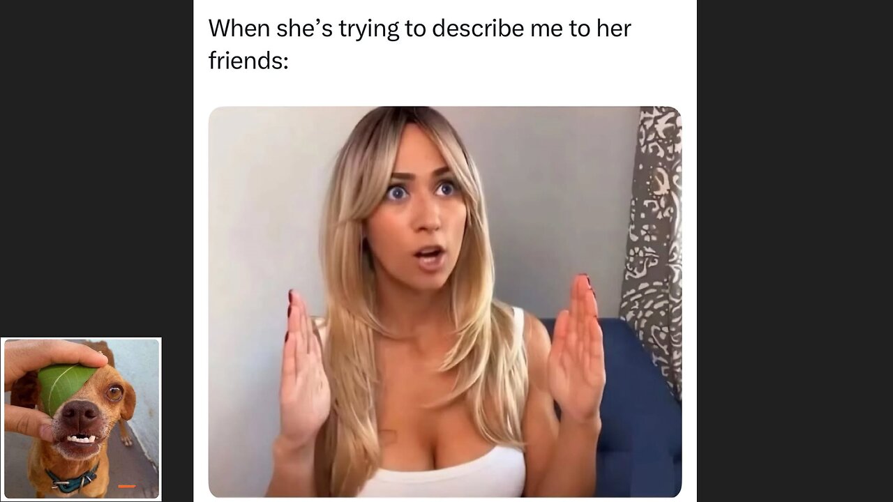 Memes That Will 99.0480% Make You Laugh. (e704)